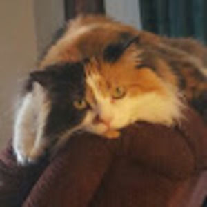 Meet your Posher, Denise